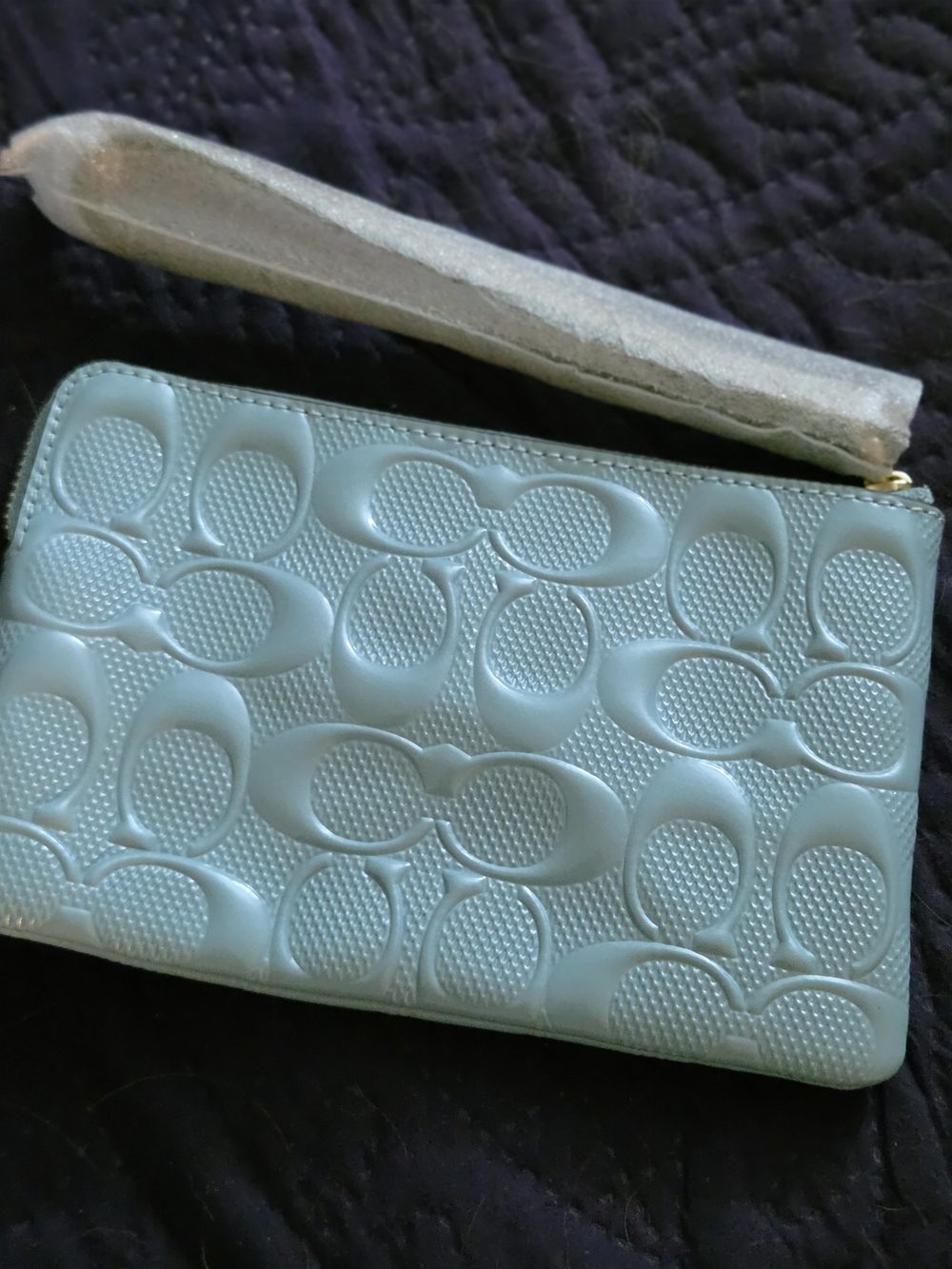 Coach Embossed Signature Leather Wristlet Pouch in Light Blue/ Cream